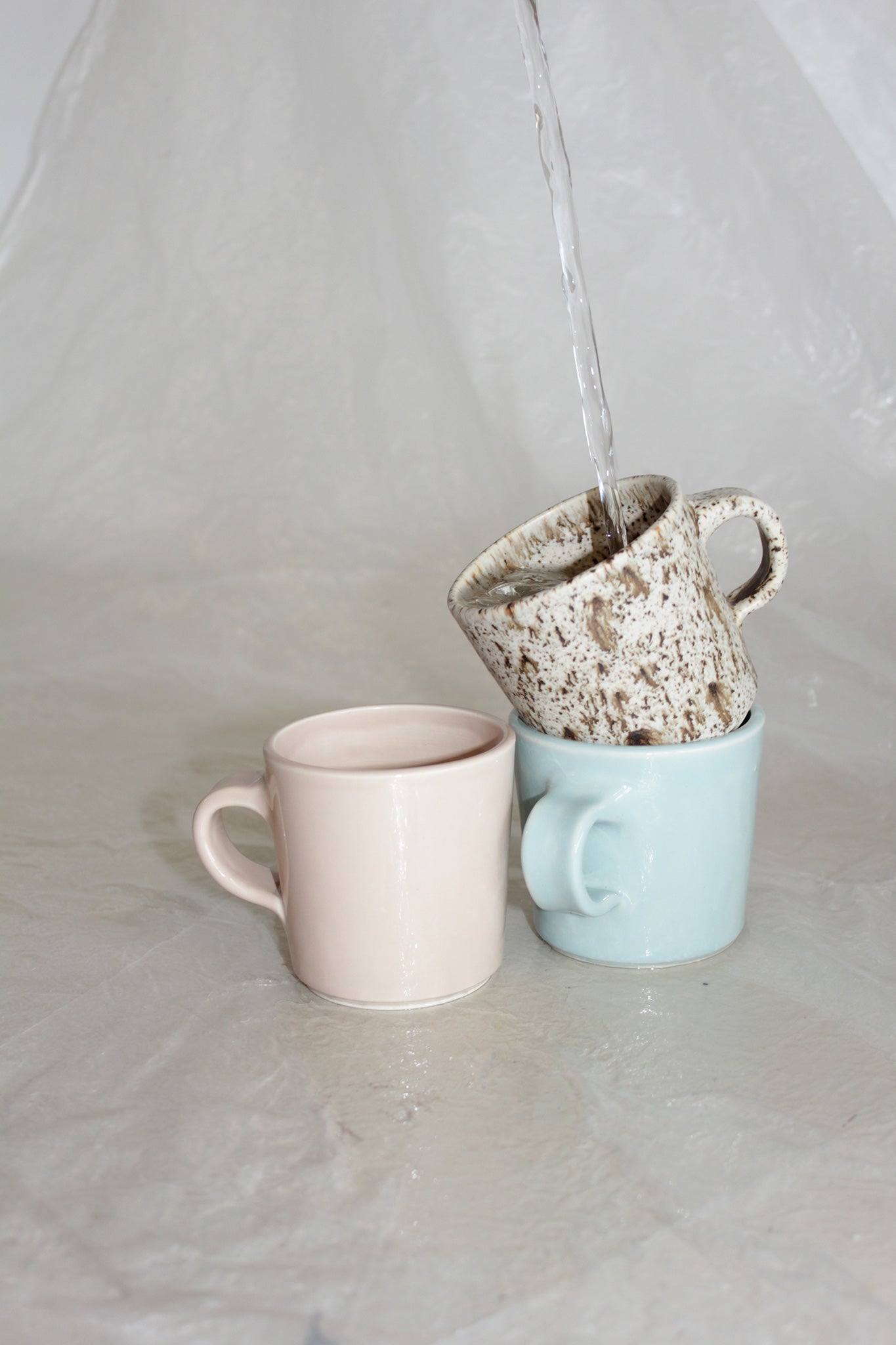 Cutie Cup • Cashew