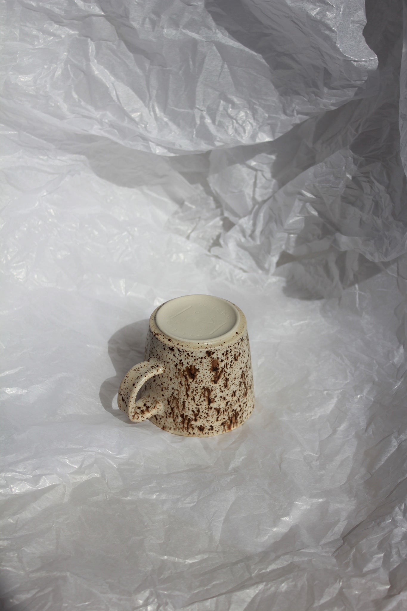 Cutie Cup • Winter Wood